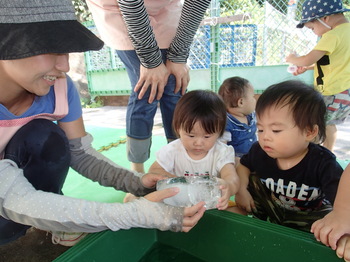 280728 トマトの収穫と水あそび (11).JPG